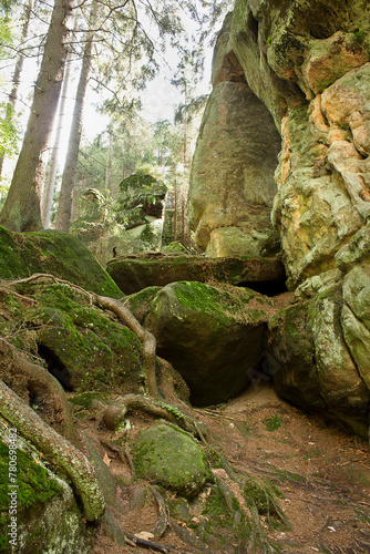 Landscape with picturesque rocks in the forest. Table mountains in Poland