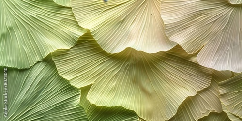Textured pattern of ginkgo leaves with a gradient from green to yellow, nature background.