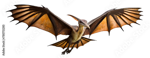 Prehistoric Pterodactyl in Flight photo