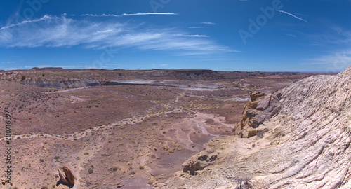 View from Jim Camp Ridge at Petrified Forest AZ