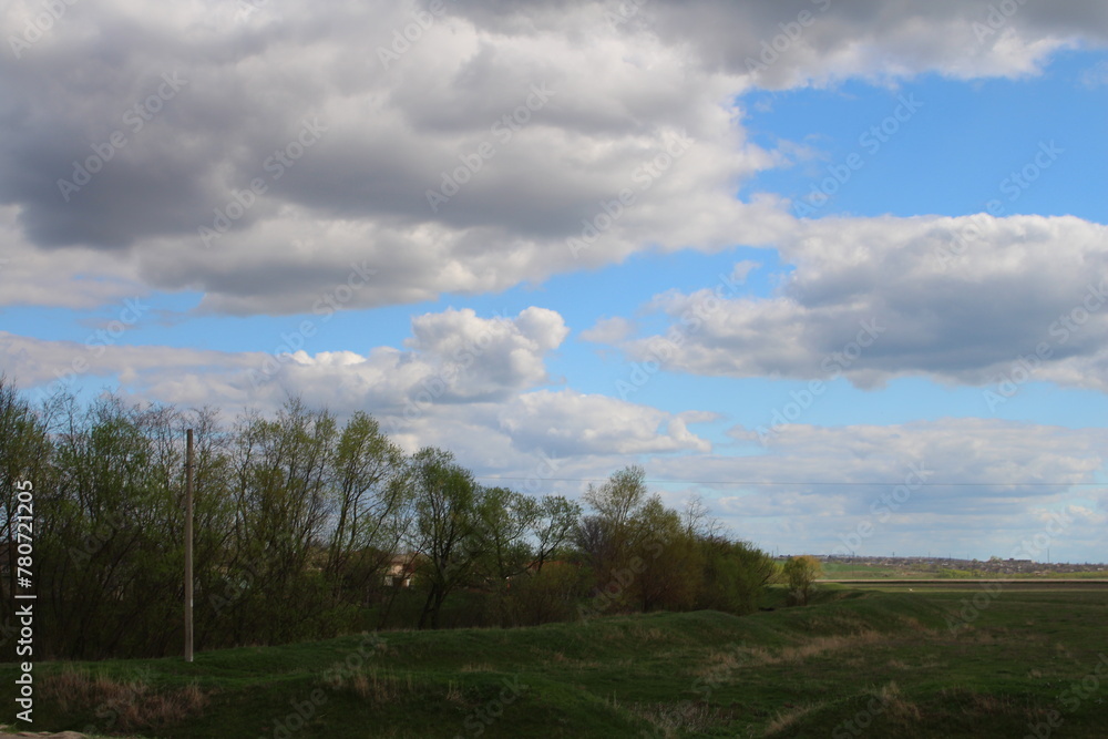 A grassy field with trees and blue sky A grassy field with trees and blue sky