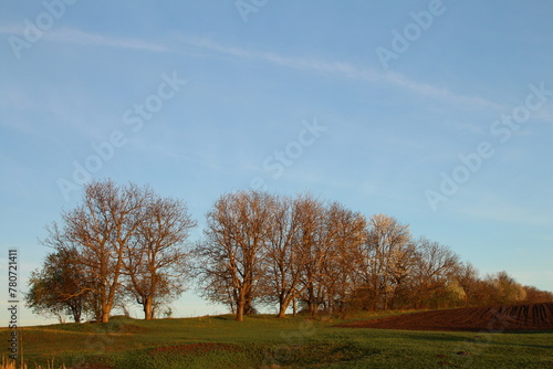 A field with trees and grass with Suitland Parkway in the background © parpalac