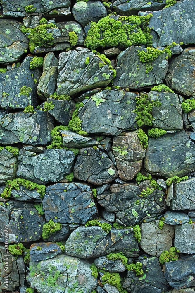 Moss growth on a stone wall
