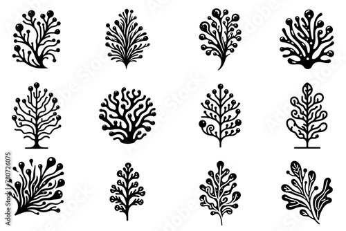 Seaweed icon. Set of black algae icons. Sea plants icon isolated on white
