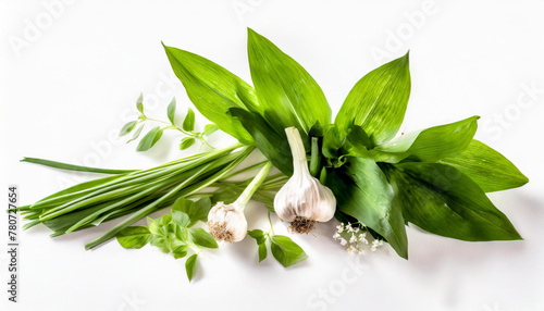 Frischer Bärlauch neben Knoblauchzehen und Blüten, arrangiert als kulinarische Zutaten, Bärlauch, Allium ursinum photo