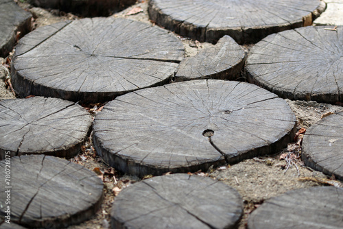 Cut log rings used as a path surface in close up