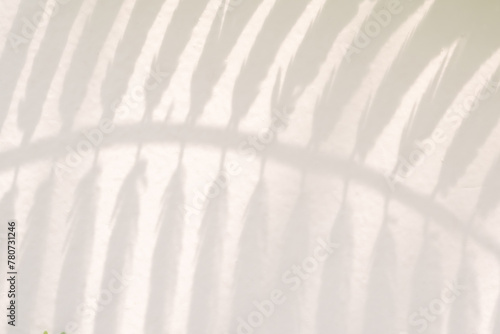 Abstract natural tree leaves shadow on white wall background