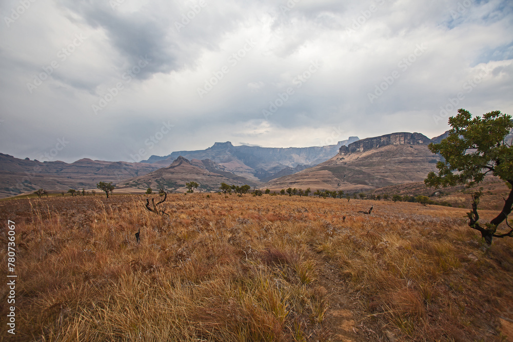 Drakensberg Mountain scene 15563