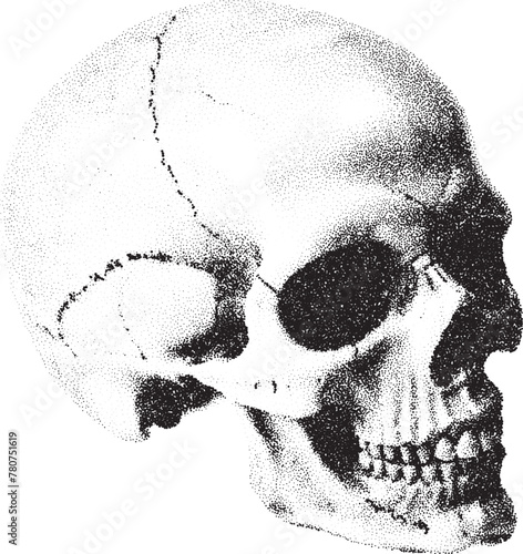 Human skull in dotwork or tattoo style. Mystic skull, drawn with dots