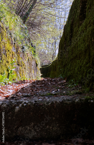 Cadorna line trenches. photo