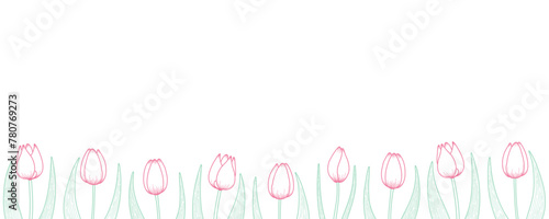 Tulip flowers horizontal border. Hand drawn line art illustration. Spring blossoms, pink blooms, decorative florals. Vector design. Mothers Day, Easter, seasonal, botanical drawing © Maria Skrigan