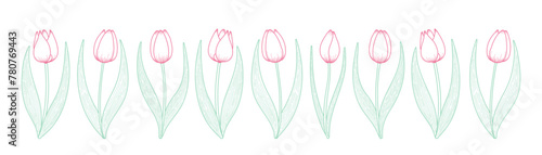 Tulip flowers horizontal border. Hand drawn line art illustration. Spring blossoms, pink blooms, decorative florals. Vector design, isolated. Mothers Day, Easter, seasonal, botanical drawing © Maria Skrigan