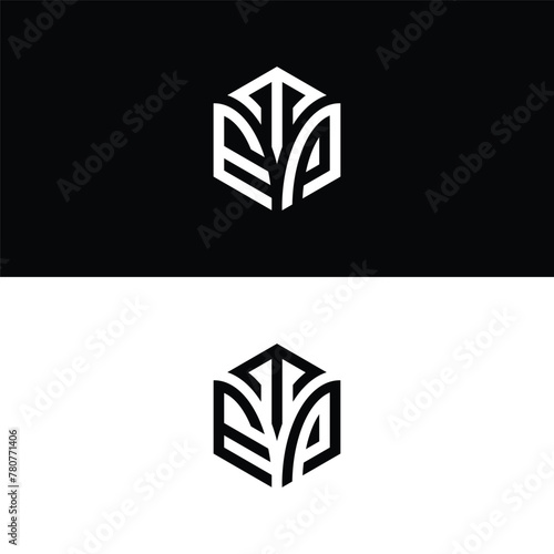 Initial letter TEP hexagon logo design, flourish, develop, natural, luxury, simple, finance logo, real estate.