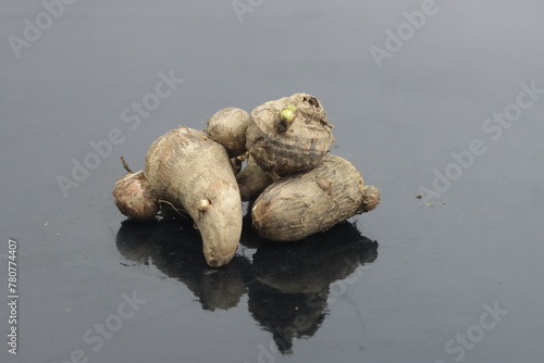 a group of colocasia  vegetable 
