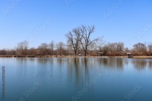 The quiet pond in the countryside on a sunny day.