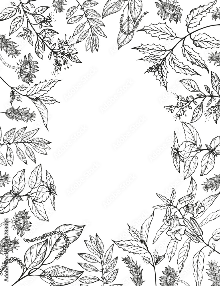 custom made wallpaper toronto digitalHand drawn vertical background with branches, herbs, twigs plants. Flower rustic border vector decorative card for design, label, card, paper, print. Engraved vintage botanical texture, wild flora