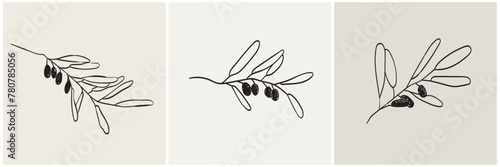 Hand drawn olive branch in minimalist ink brush charcoal style. Decorative vector elements for tattoo, greeting card, wedding invitation. Black silhouette outline olive isolated on white.
