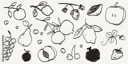 Hand drawn fruits and berries in minimalist ink brush charcoal style. Decorative vector elements for tattoo, greeting card, menu, wedding invitation. Black silhouette outline olive isolated on white.