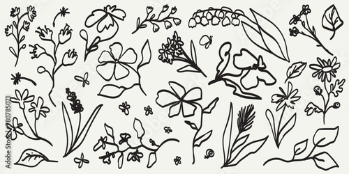 Abstract contemporary flowers with textures. Modern vector illustration. Small hand-drawn flowers set. Wild flowers and plants in charcoal or crayon drawing style. Pencil drawn branches and stems. © Katsyarina