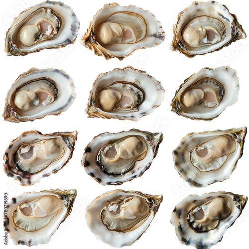 Set of 12 opened oysters isolated on transparent background. 