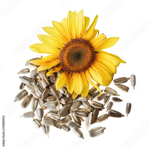 A sunflower adorns a heap of seeds, resembling a floral jewel on a transparent background