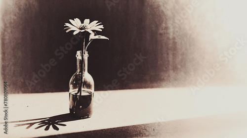 illustrazione di vecchia immagine, dagherrotipo di fiore in una bottiglia photo