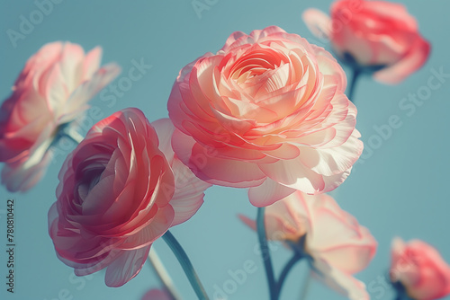 Wallpaper Mural Pink delicate fantasy roses flowers floating in air natural floral macro background wallpaper Torontodigital.ca