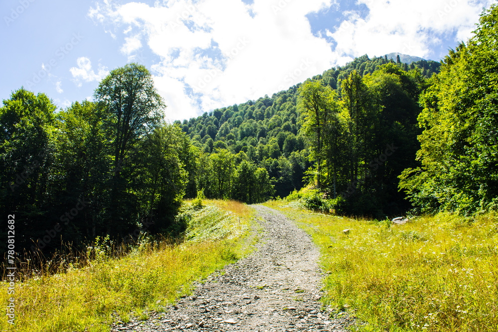 Beautiful panoramic landscape - mountain trail among green mountains and hills on a sunny summer day in Krasnaya Polyana in Russia