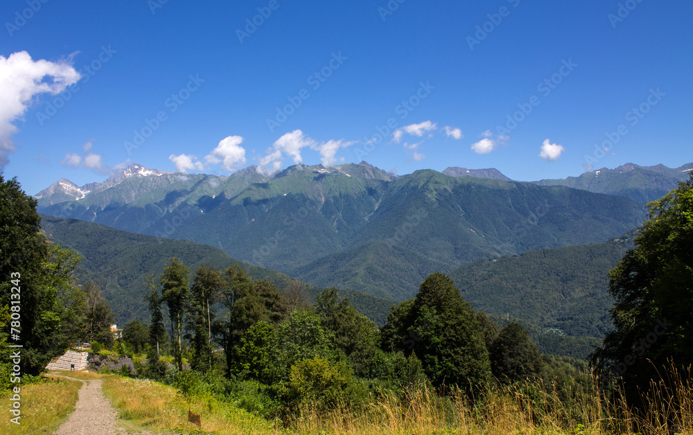 Panoramic landscape - green mountains with trees on a sunny summer day in Krasnaya Polyana, Russia. Concept trekking and hiking on vacation