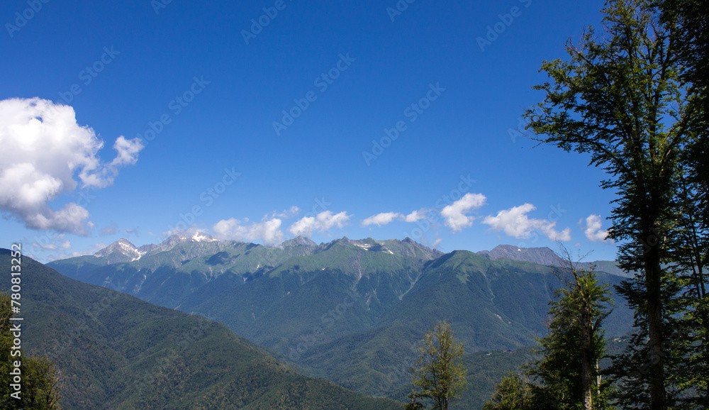 Beautiful panoramic landscape - green mountain peaks and trees on a sunny summer day and a space to copy