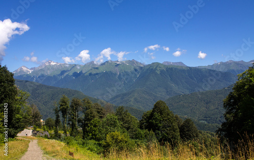 Panoramic landscape - green mountains with trees on a sunny summer day in Krasnaya Polyana, Russia. Concept trekking and hiking on vacation
