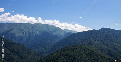 Beautiful panoramic landscape - green mountain peaks and trees on a sunny summer day and a space to copy