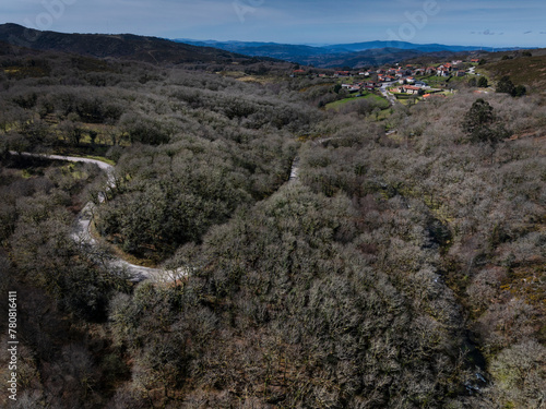 Aerial view of the carballeira de Pigarzos and the town of Pigarzos with the curves of the road crossing the trees