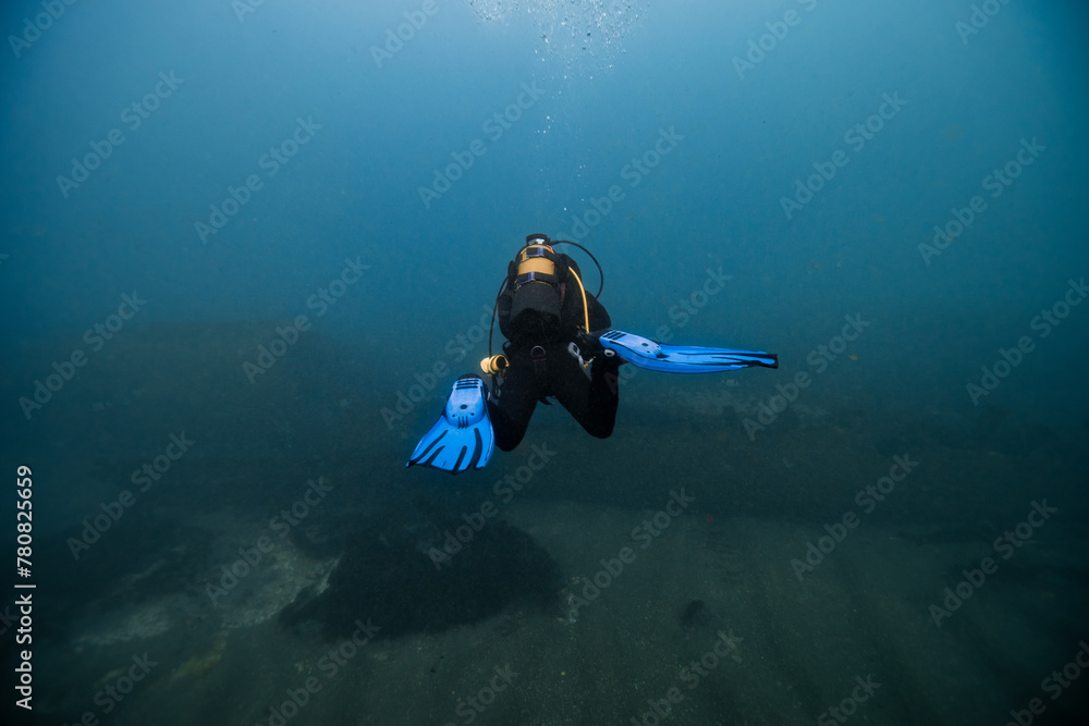 Scuba diver exploring the underwater world Scuba diver exploring the underwater world