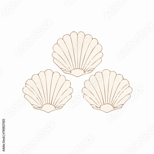 Seashell   Minimalist and Simple set of 3 Line White background - Vector illustration