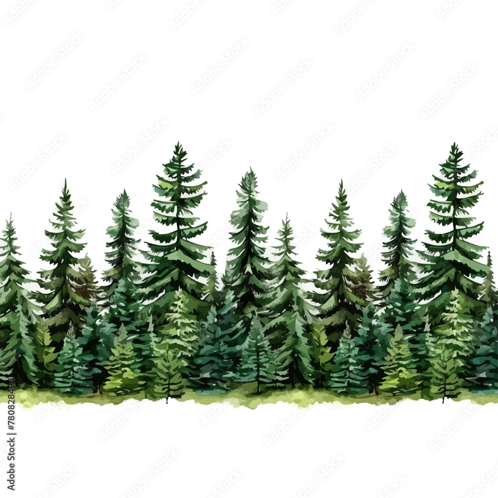 Coniferous forest, seamless border, isolated on white background