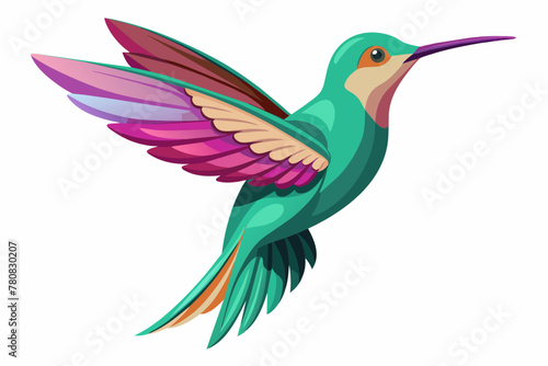 Dainty Hummingbirds vector illustration 