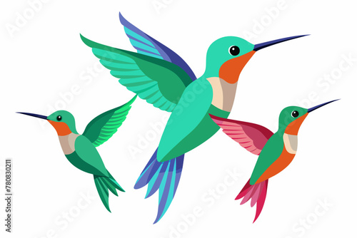 Dainty Hummingbirds vector illustration 