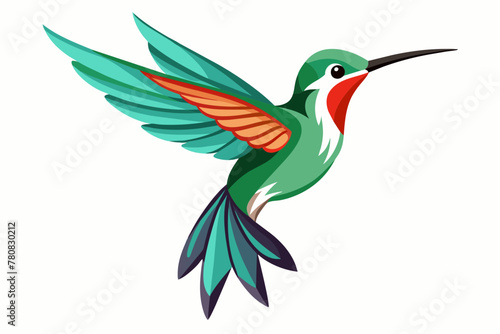Dainty Hummingbirds vector illustration 