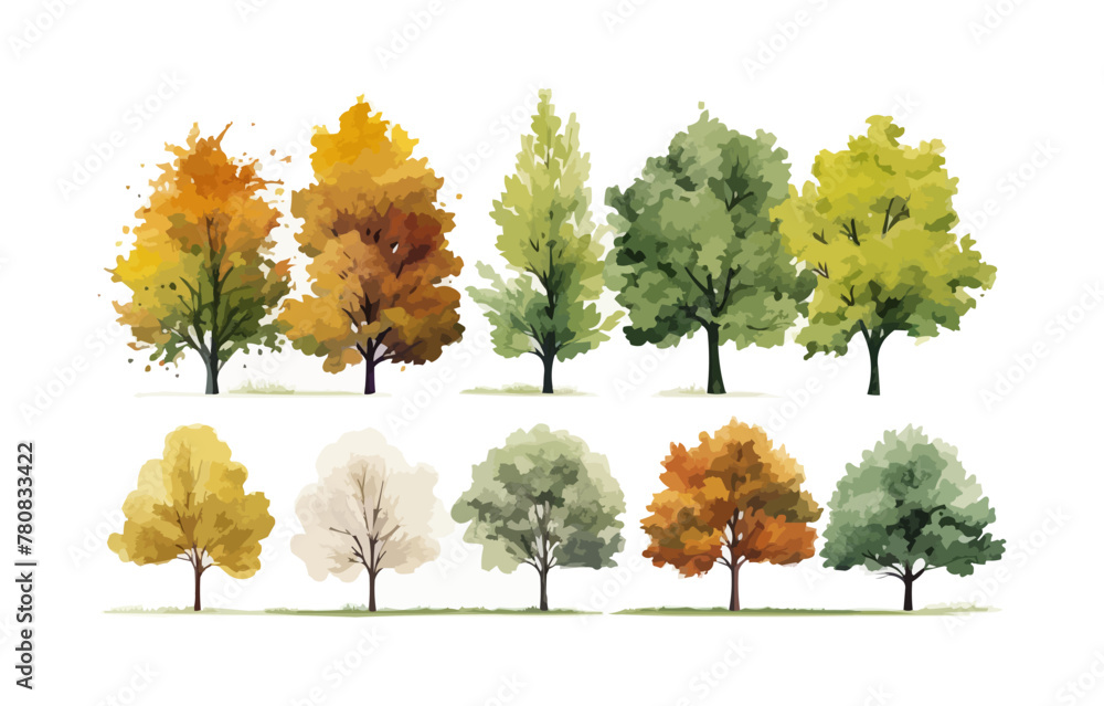Vector set of autumn trees, Vector of green grass or shrub isolated on white background,tree elevation for landscape concept,environment panorama scene,eco design,watercolor meadow Vector set of autumn trees, Vector of green grass or shrub isolated on white background,tree elevation for landscape concept,environment panorama scene,eco design,watercolor meadow