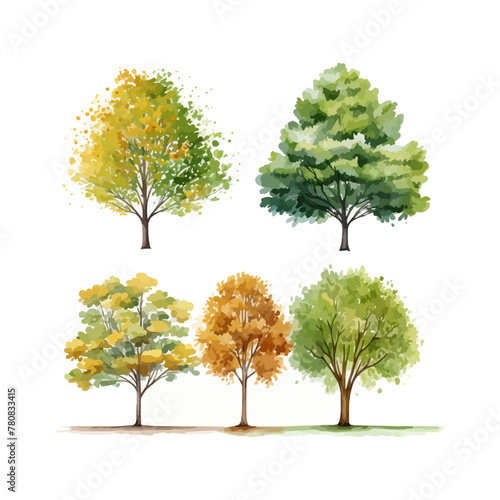 Vector set of autumn trees, Vector of green grass or shrub isolated on white background,tree elevation for landscape concept,environment panorama scene,eco design,watercolor meadow