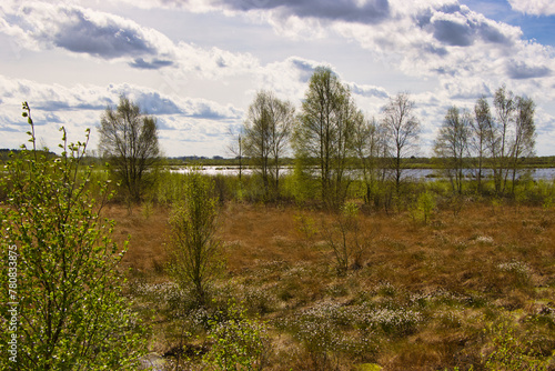 Fotografie Bourtanger Moor