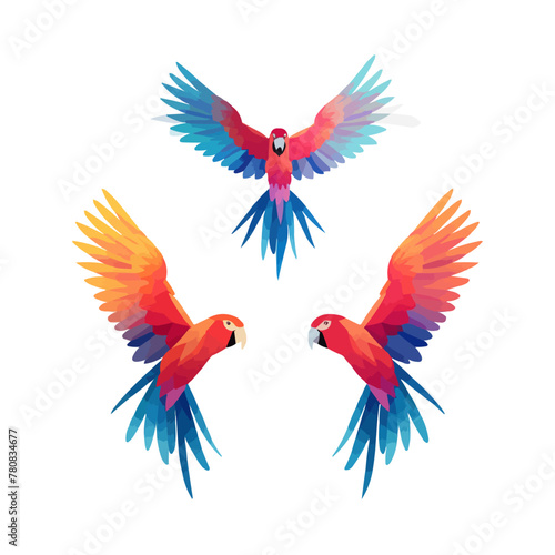 Macaw | Minimalist and Simple set of 3 Line White background - Vector illustration