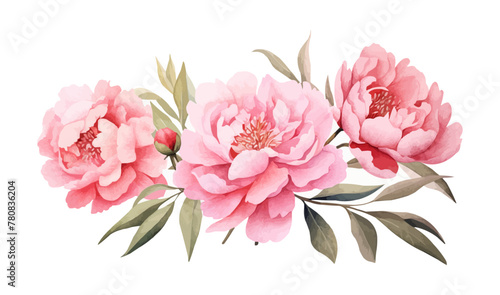 Watercolor pink peony large beautiful flowers print poster vector illustration wedding engagement