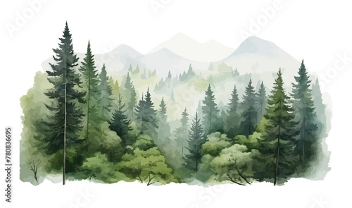 Watercolor Forest tree illustration. Mountain landscape. Woodland pine trees. Green Forest.