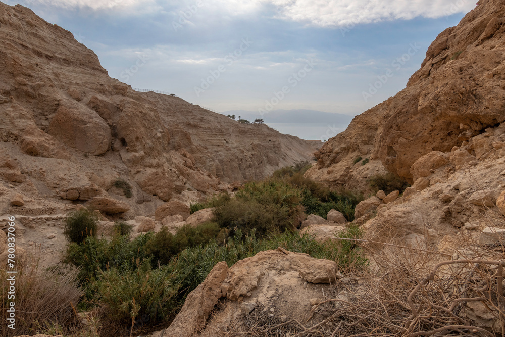 The Nahal David Gorge in the Judean Desert in close proximity to the Dead Sea and Kibbutz Ein Gedi. The Nahal David Gorge in the Judean Desert in close proximity to the Dead Sea and Kibbutz Ein Gedi.