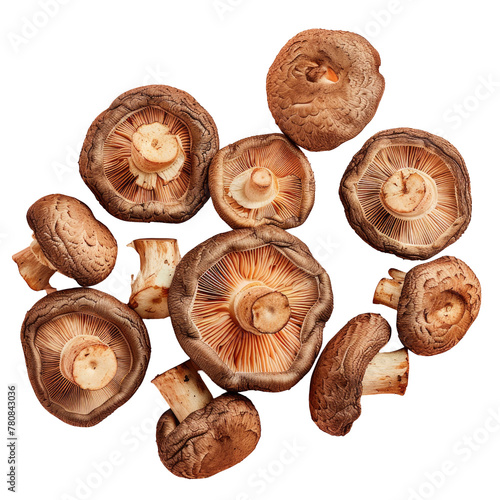 Mushrooms, a natural ingredient, arranged on a transparent background