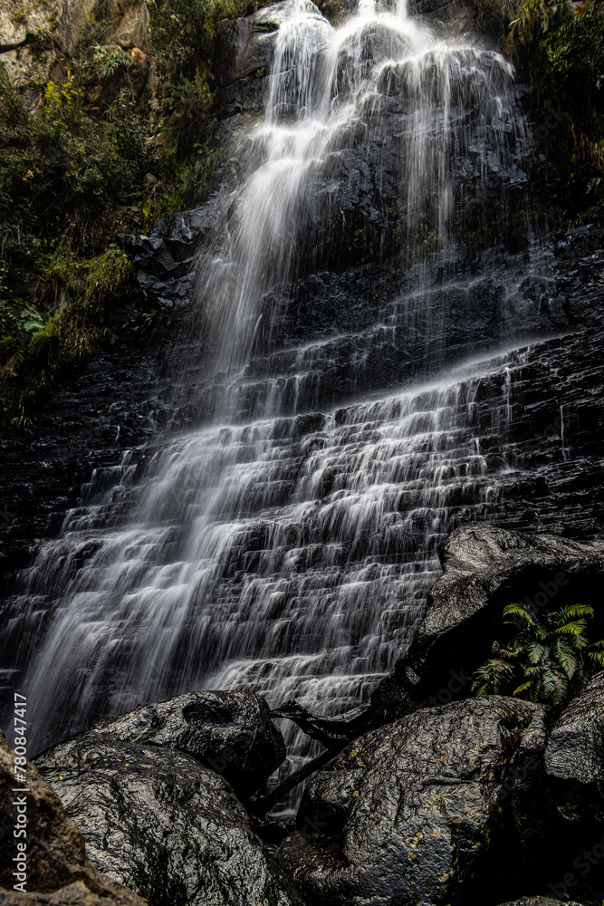 waterfall in the forest waterfall in the forest