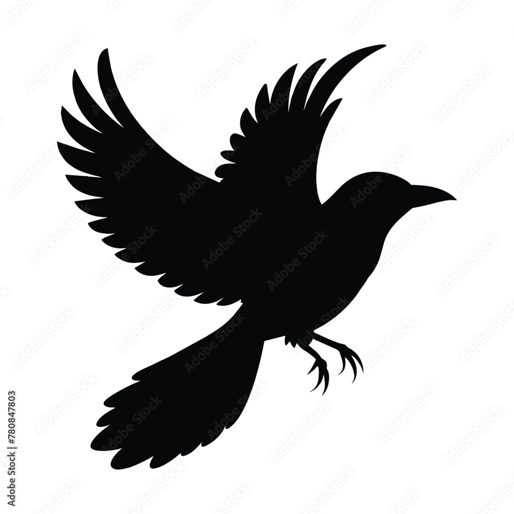 silhouette of grackle bird on white