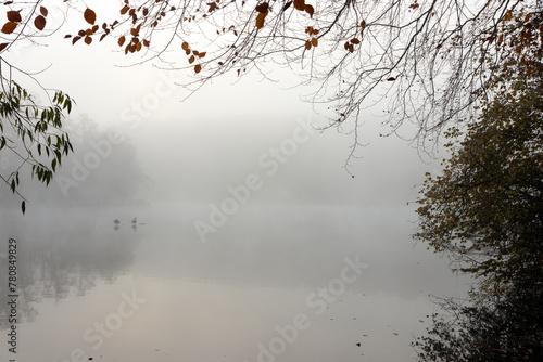 grief, take farewell, card of condolence, sympathy